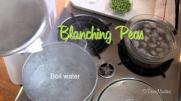 blanching peas
